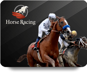 Kinh Nghiệm Chơi ZingPlay Bet Online Hiệu Quả Và Thắng Lớn