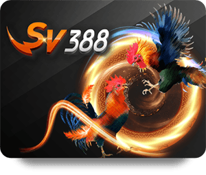 Why Choose SHBET Thể Thao VIP for Sports Betting?